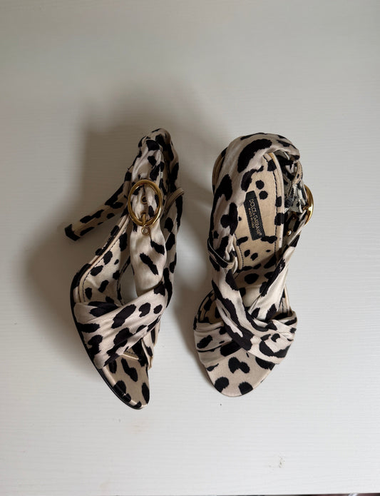 Pair of leopard print high heels on a white surface